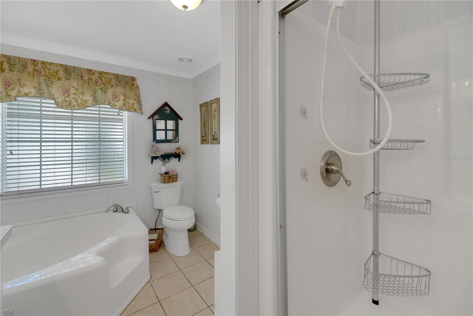 15 RIVERVIEW DR, FRUITLAND PARK, FL, 34731