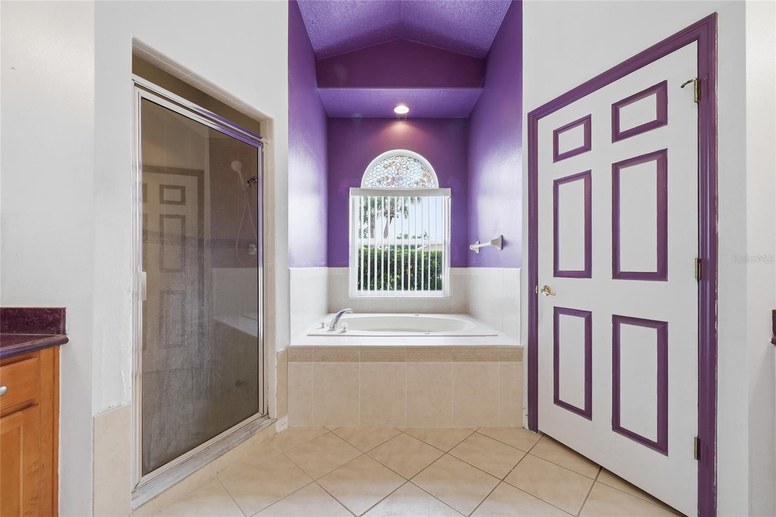 208 CORVINA DR, DAVENPORT, FL, 33897