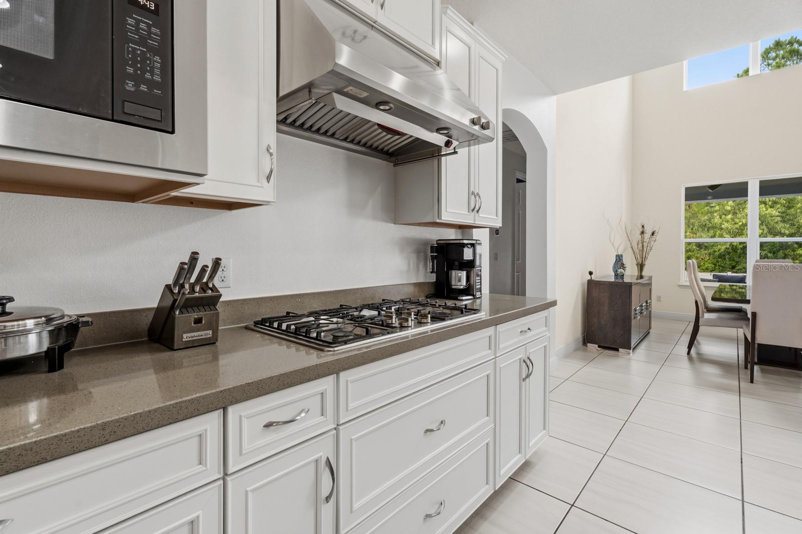 2299 PEARL CIDER ST, ORLANDO, FL, 32824