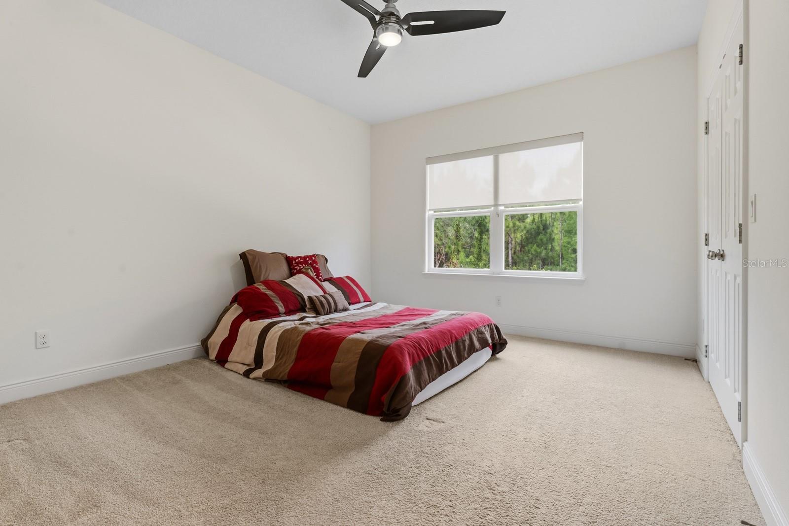 2299 PEARL CIDER ST, ORLANDO, FL, 32824
