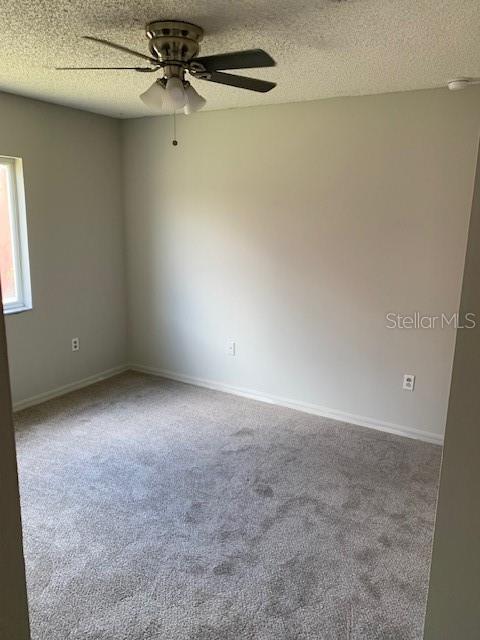 11802 LYNMOOR DR, RIVERVIEW, FL, 33579
