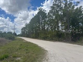 29459 CLARA DR, PUNTA GORDA, FL, 33982