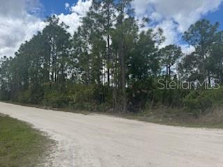 29459 CLARA DR, PUNTA GORDA, FL, 33982