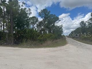 29459 CLARA DR, PUNTA GORDA, FL, 33982