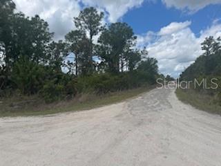 29459 CLARA DR, PUNTA GORDA, FL, 33982