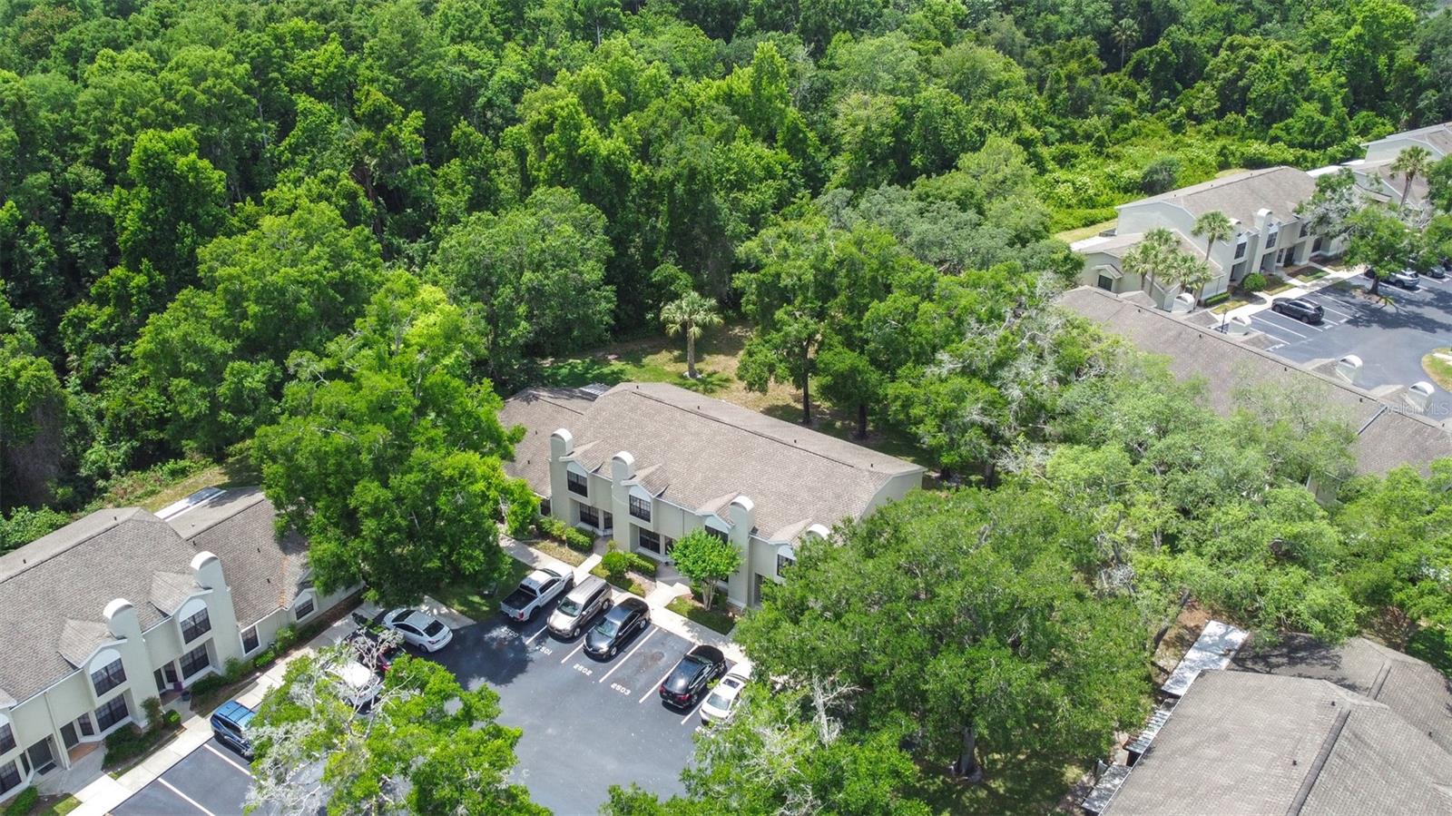 5100 BURCHETTE RD #2505, TAMPA, FL, 33647
