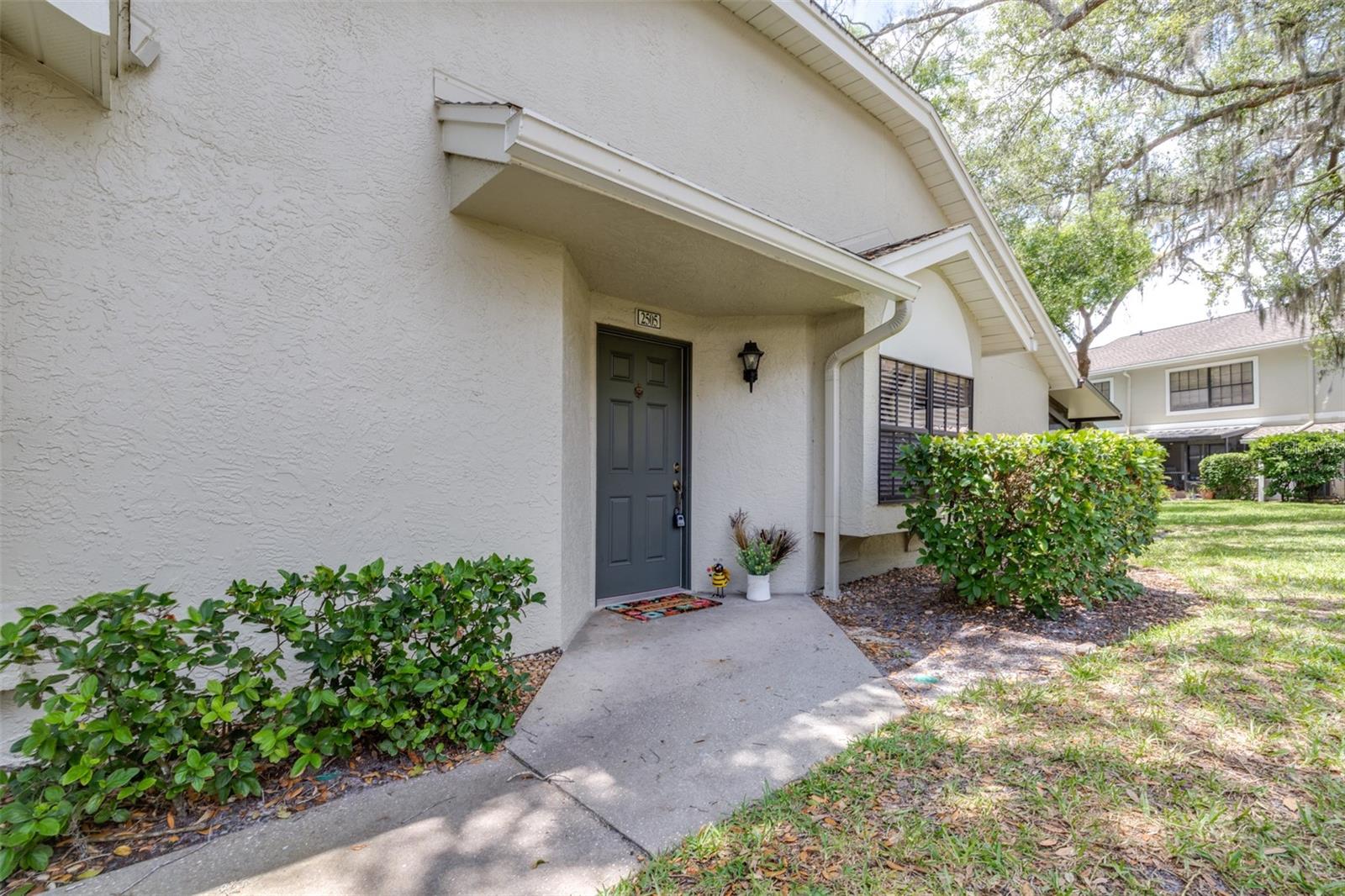 5100 BURCHETTE RD #2505, TAMPA, FL, 33647