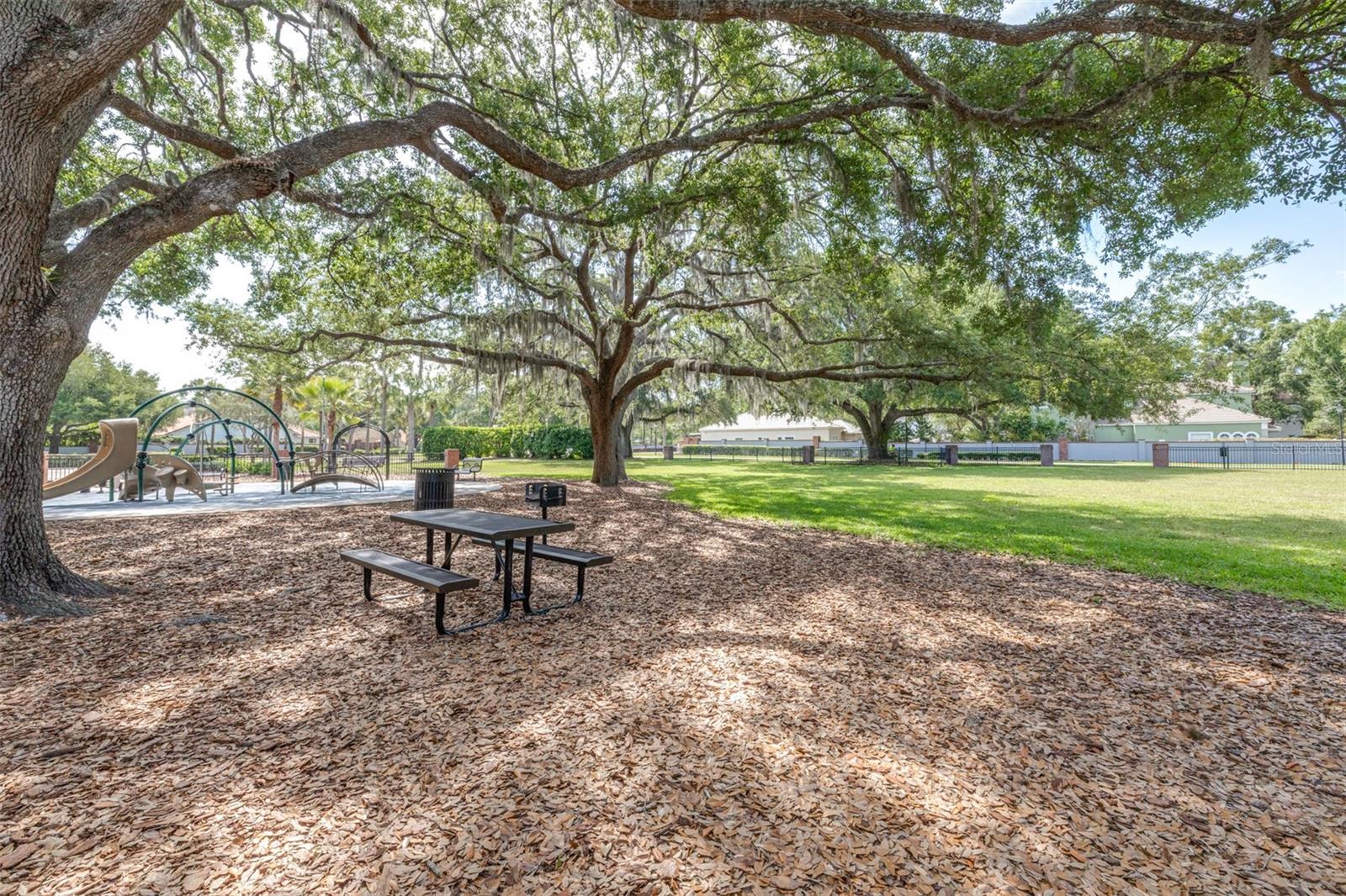 5100 BURCHETTE RD #2505, TAMPA, FL, 33647