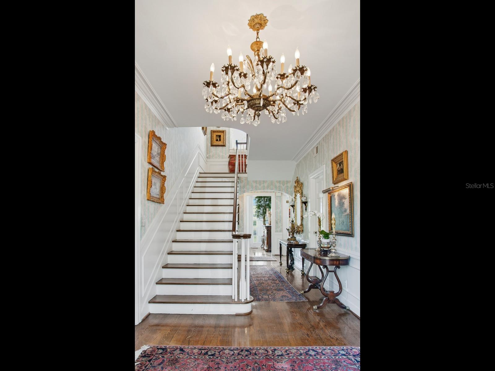 3424 JEAN CIR, TAMPA, FL, 33629