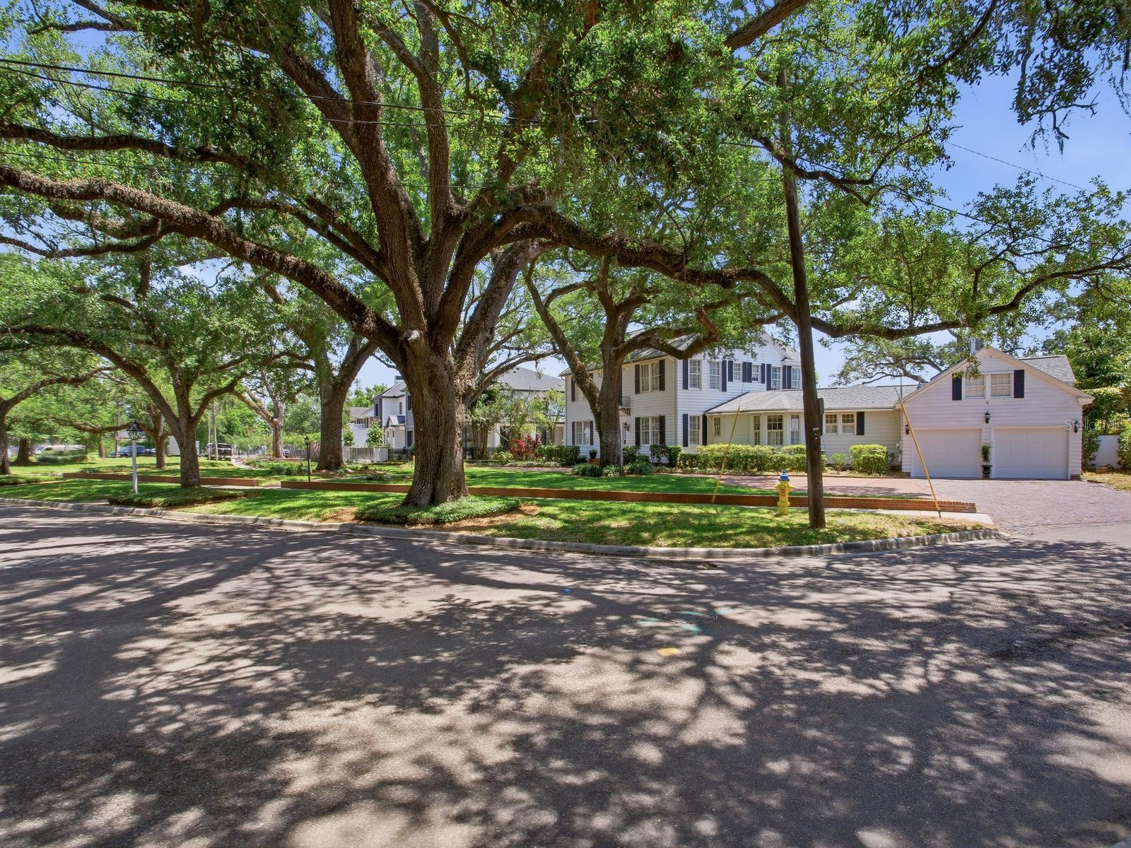 3424 JEAN CIR, TAMPA, FL, 33629