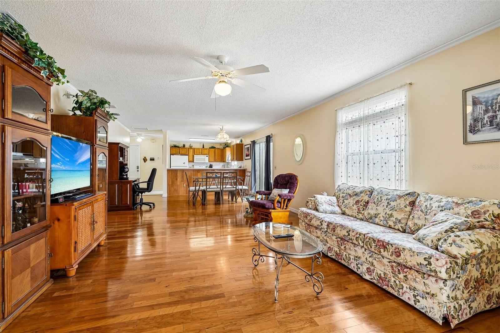 17167 SE 76TH BOXBURY CT, THE VILLAGES, FL, 32162
