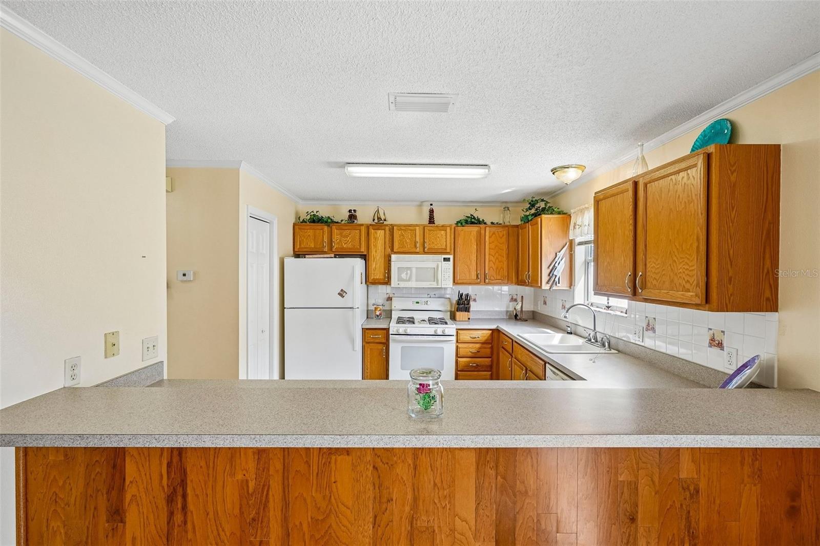17167 SE 76TH BOXBURY CT, THE VILLAGES, FL, 32162