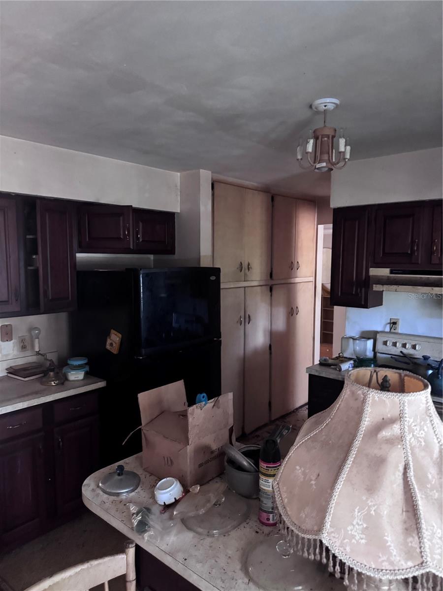 1601 HARDWOOD DR, CLEARWATER, FL, 33756