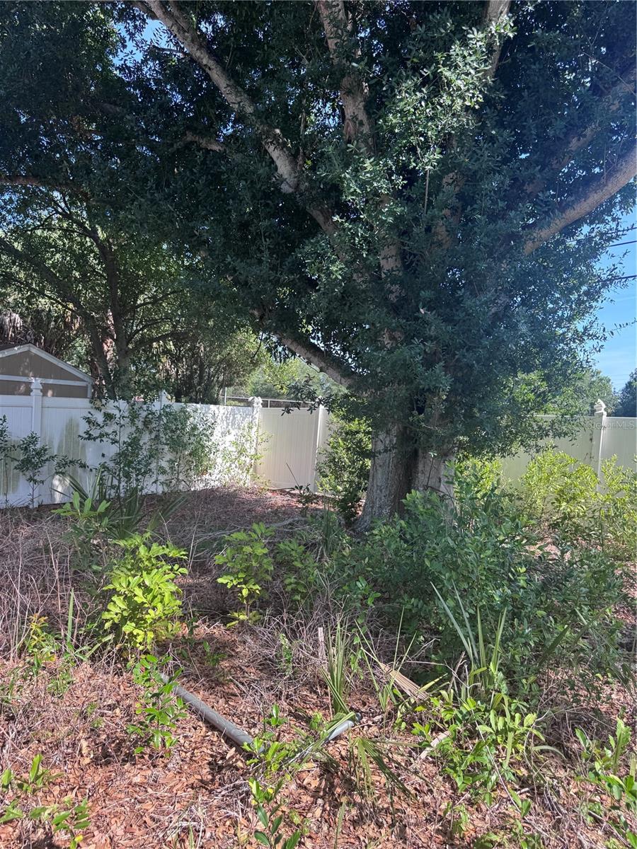 1601 HARDWOOD DR, CLEARWATER, FL, 33756