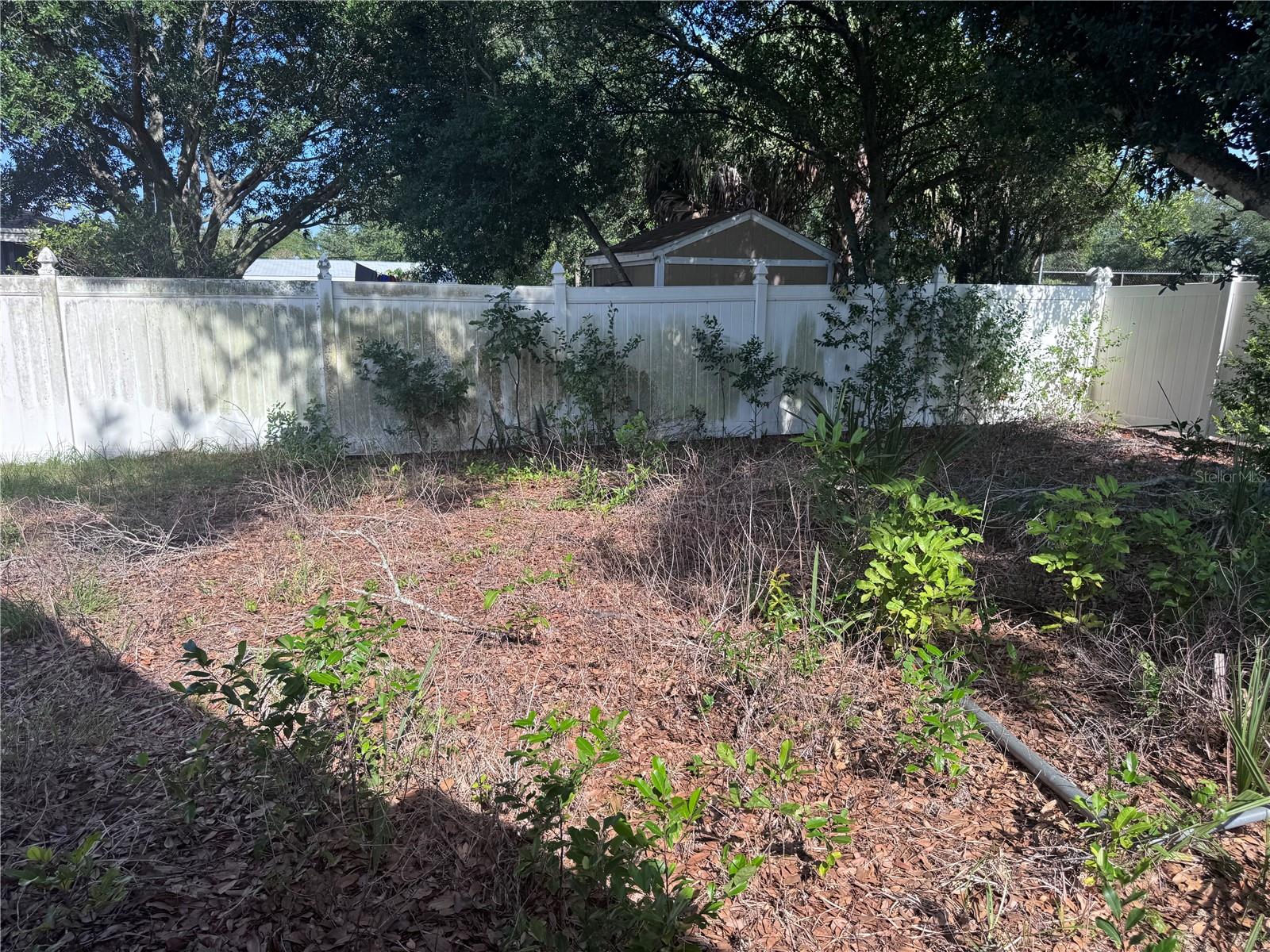 1601 HARDWOOD DR, CLEARWATER, FL, 33756