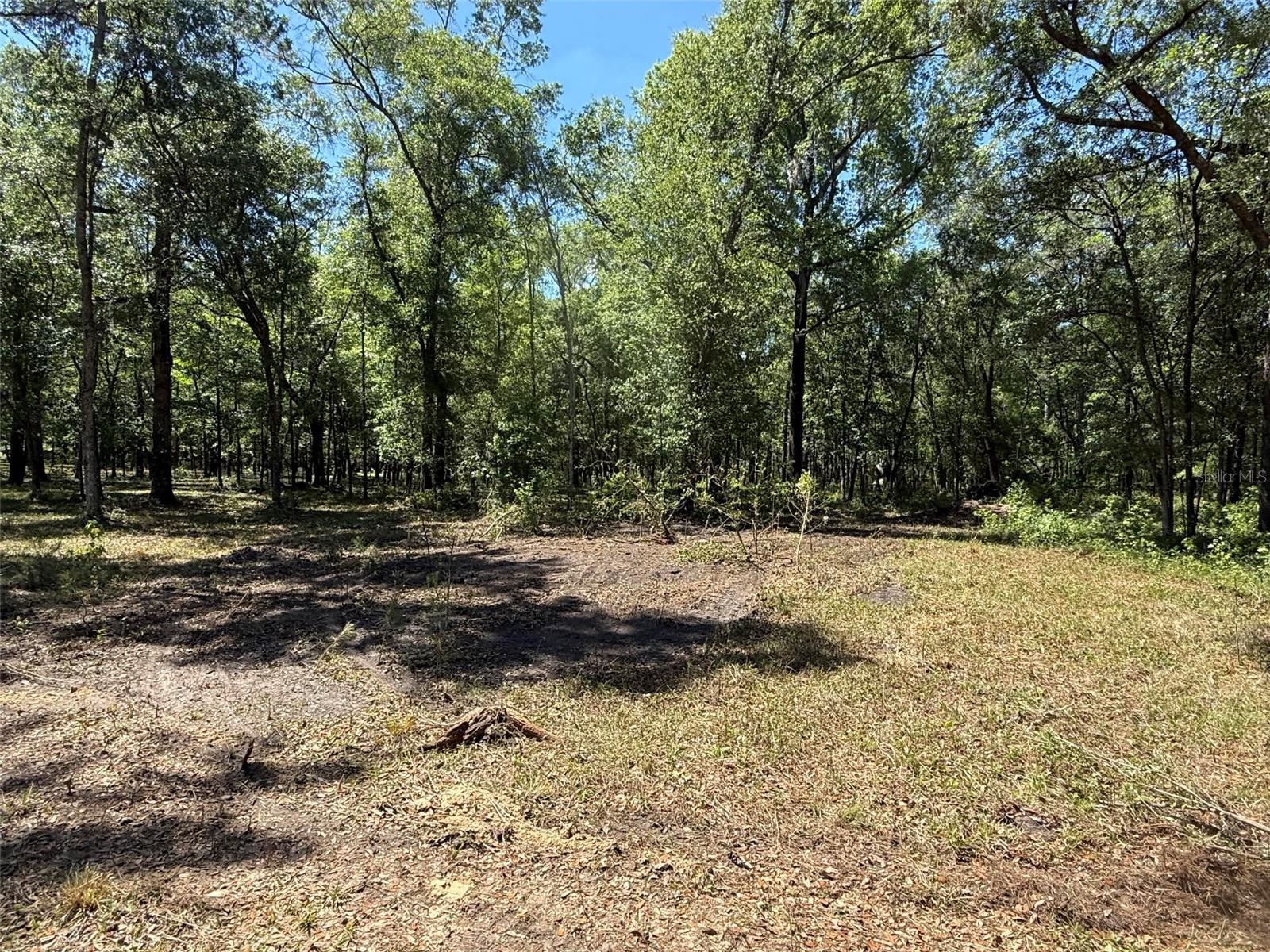 0 NW 145 AVE, WILLISTON, FL, 32696