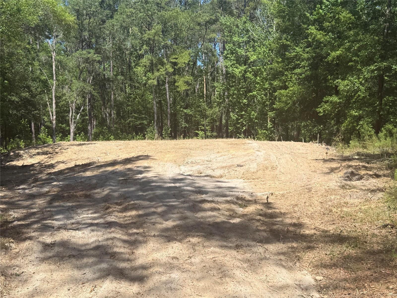 0 NW 145 AVE, WILLISTON, FL, 32696