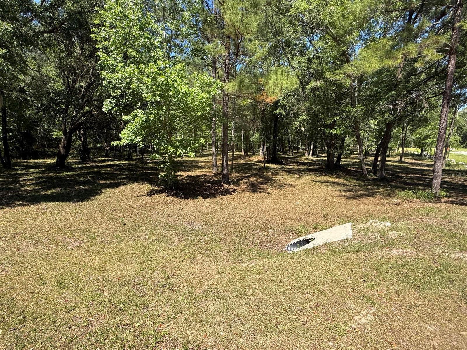 0 NW 145 AVE, WILLISTON, FL, 32696