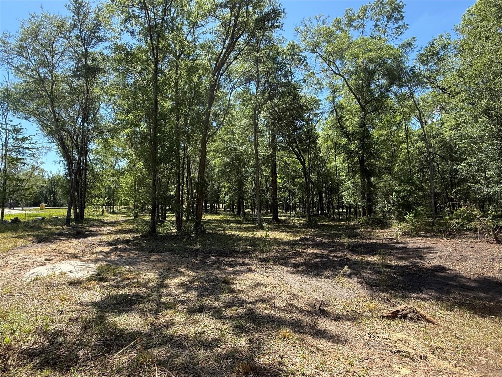 0 NW 145 AVE, WILLISTON, FL, 32696