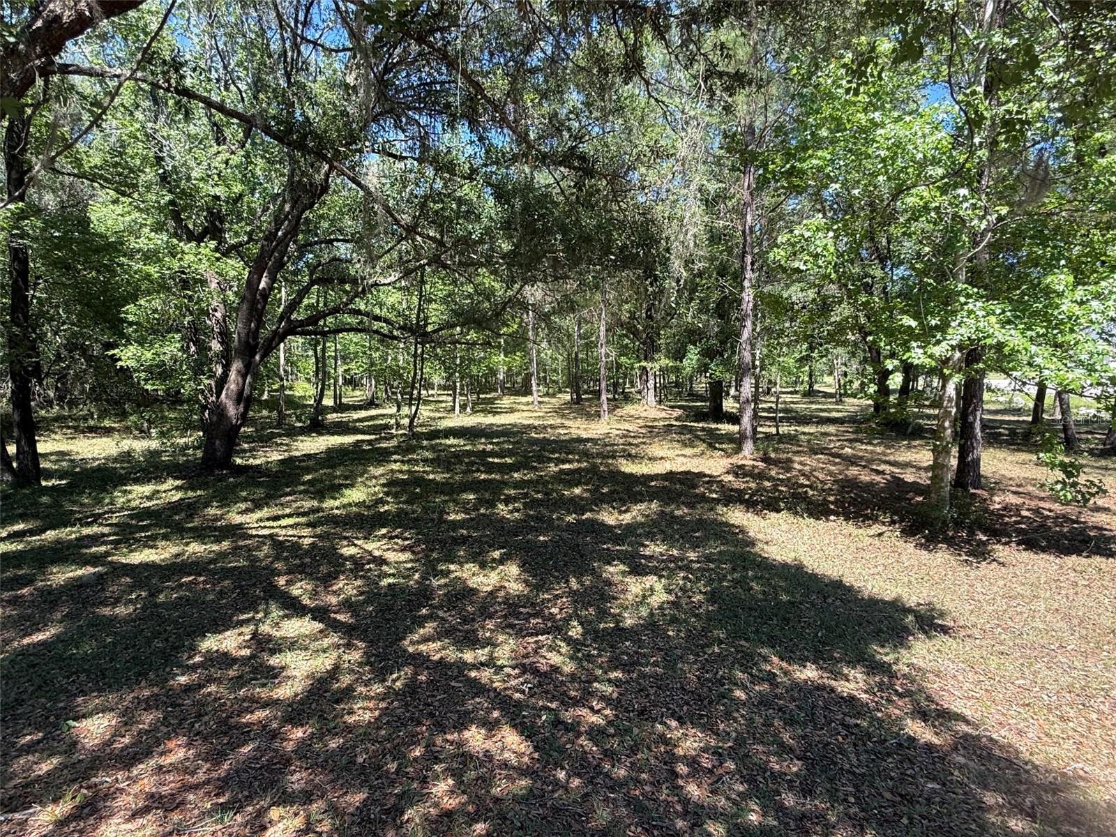 0 NW 145 AVE, WILLISTON, FL, 32696