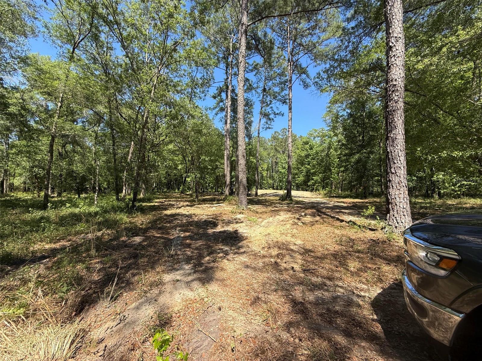 0 NW 145 AVE, WILLISTON, FL, 32696