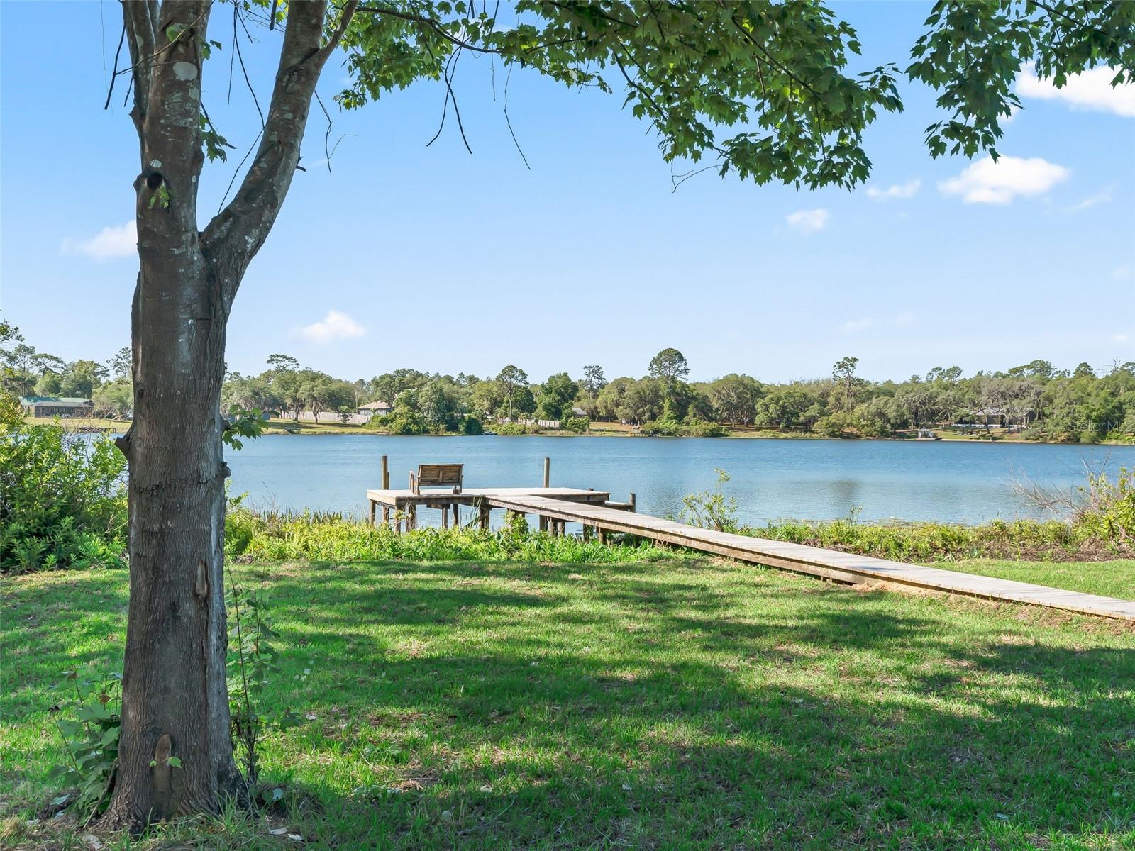 214 FISHER RUN, OCKLAWAHA, FL, 32179