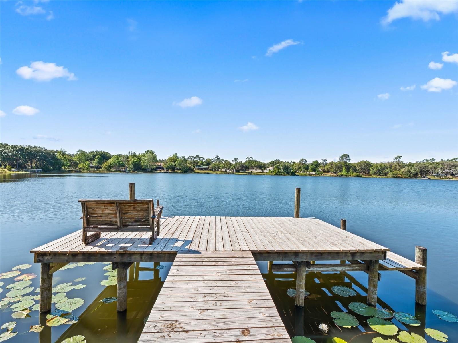 214 FISHER RUN, OCKLAWAHA, FL, 32179