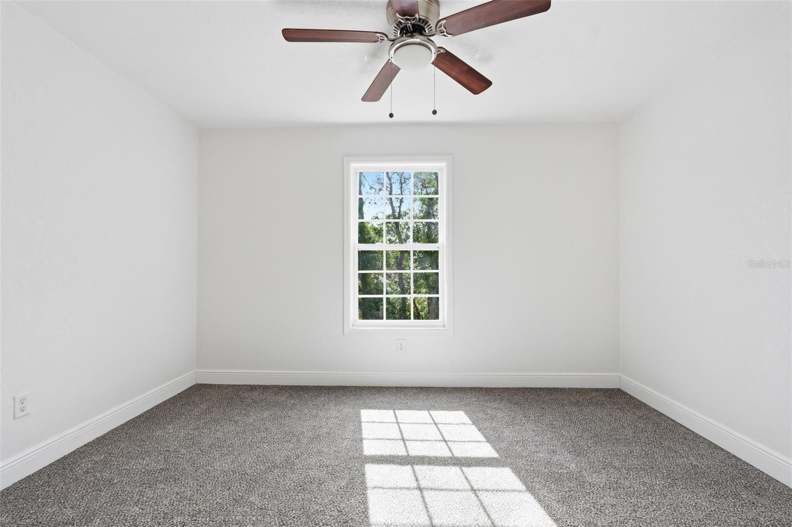 5065 5065 PLUMOSA ST, SPRING HILL, FL, 34607