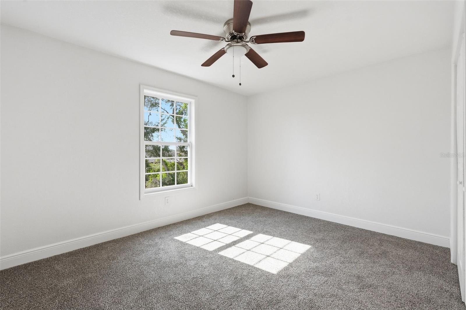 5065 5065 PLUMOSA ST, SPRING HILL, FL, 34607