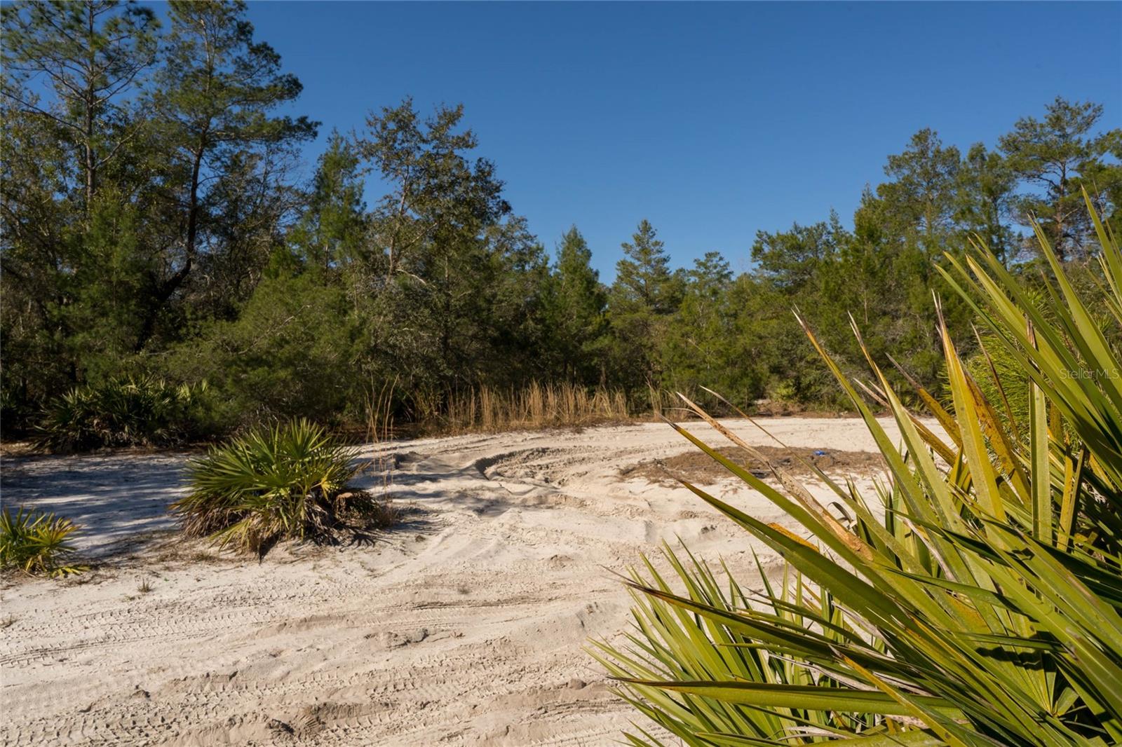 NORTH RD, PIERSON, FL, 32180