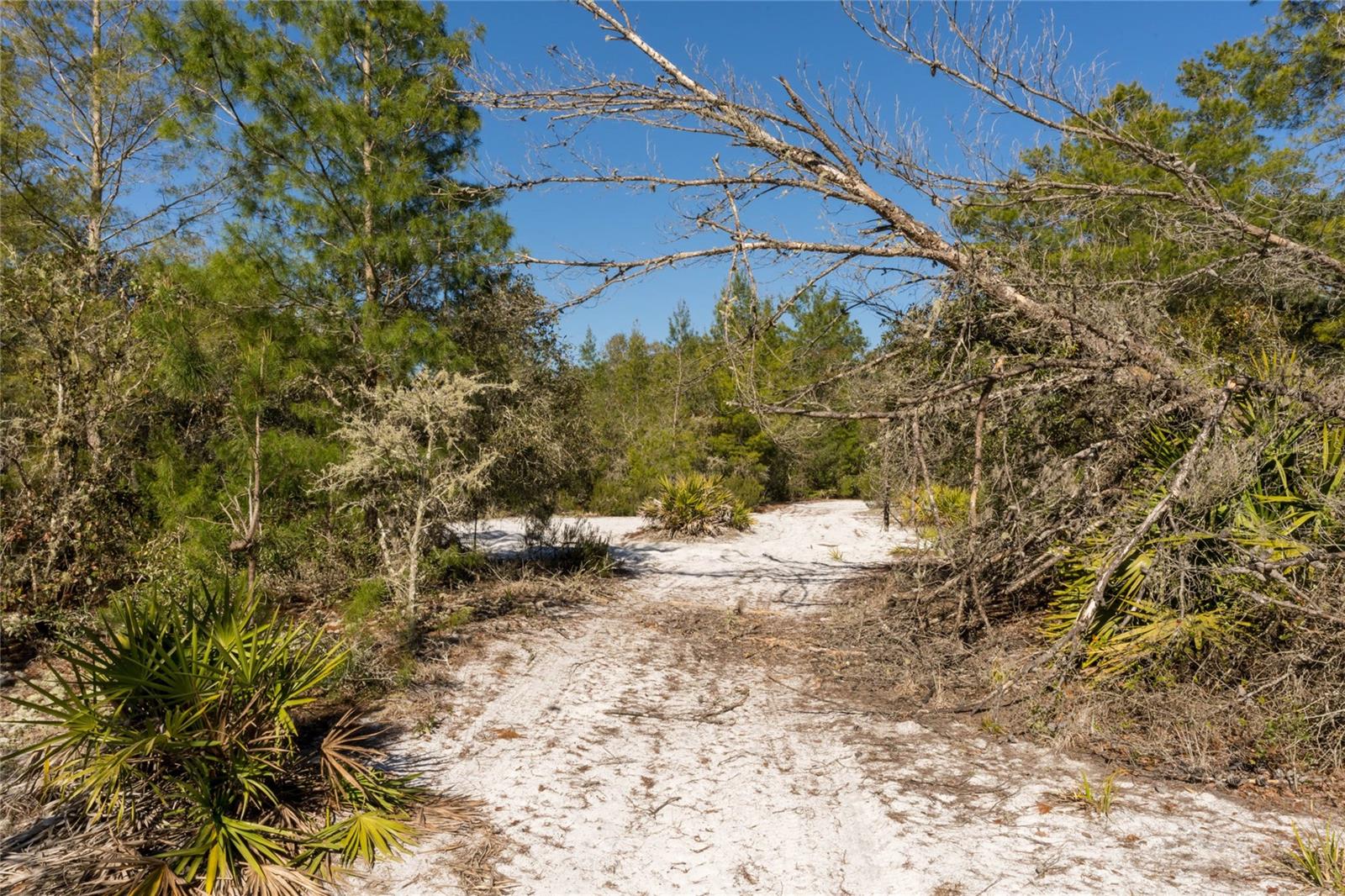 NORTH RD, PIERSON, FL, 32180
