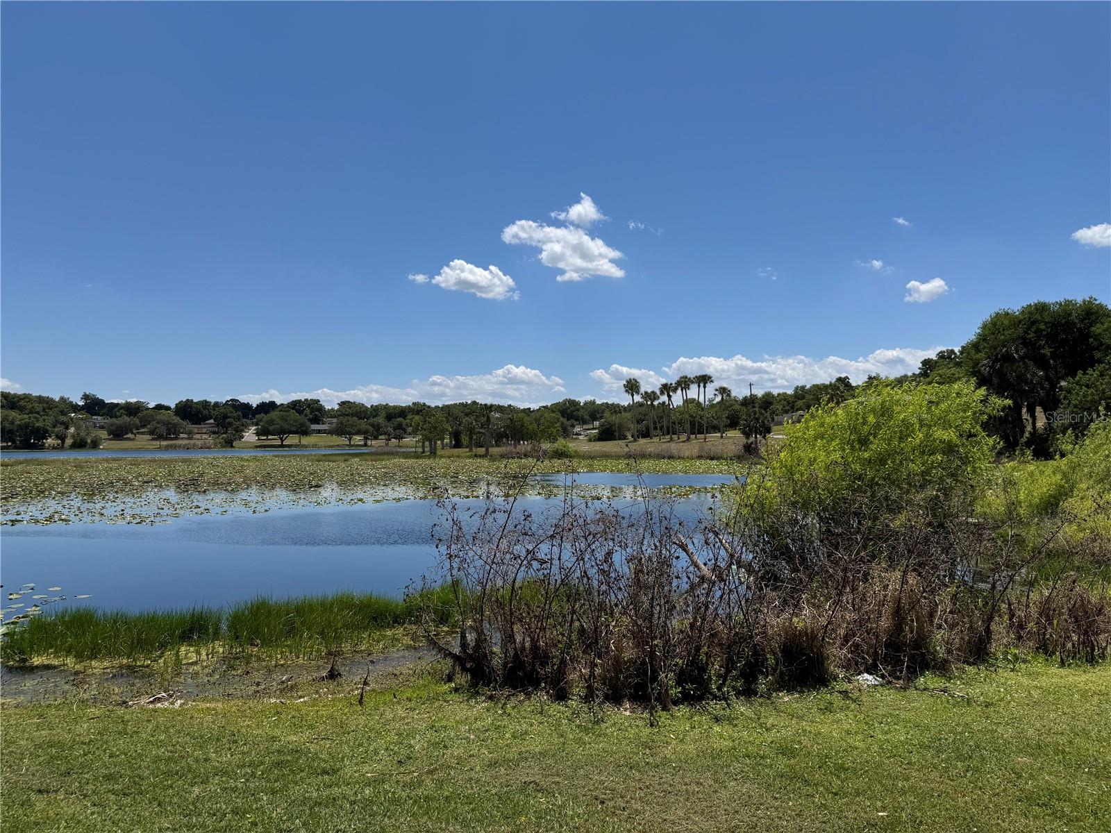 708 E LEMON AVE, EUSTIS, FL, 32726