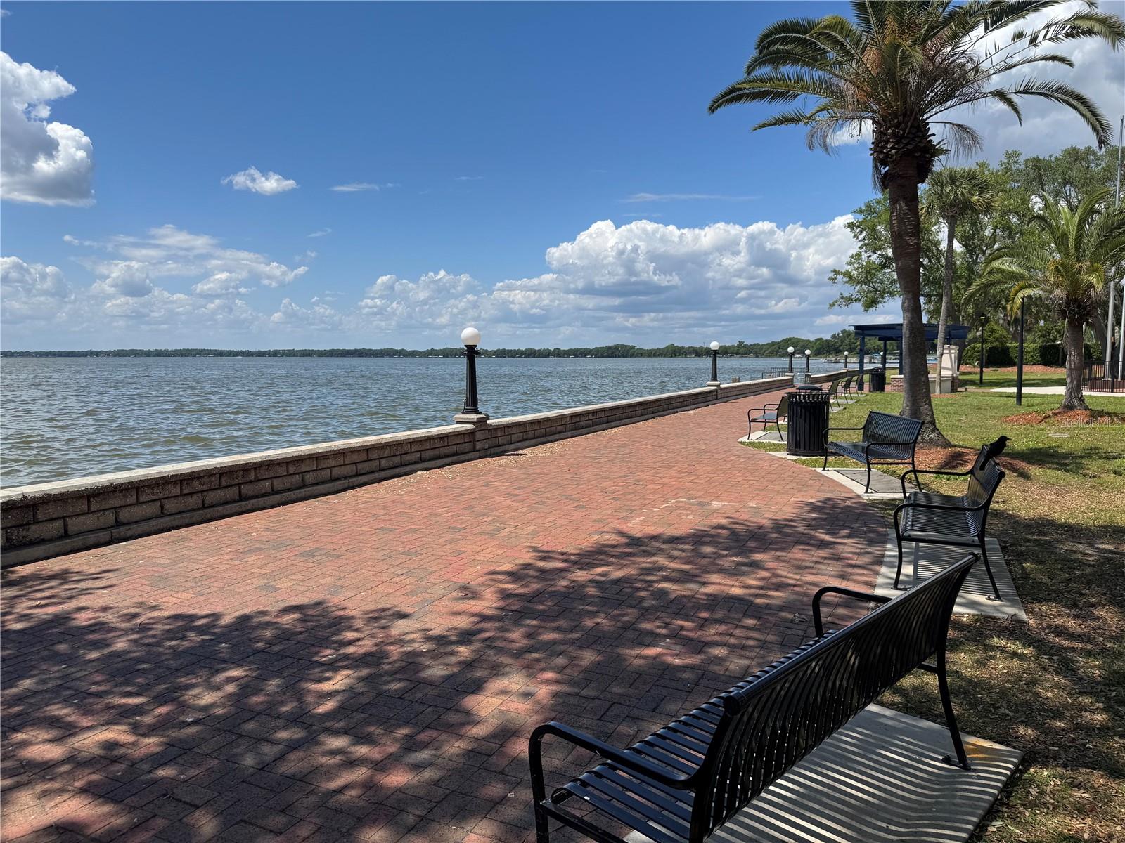 708 E LEMON AVE, EUSTIS, FL, 32726