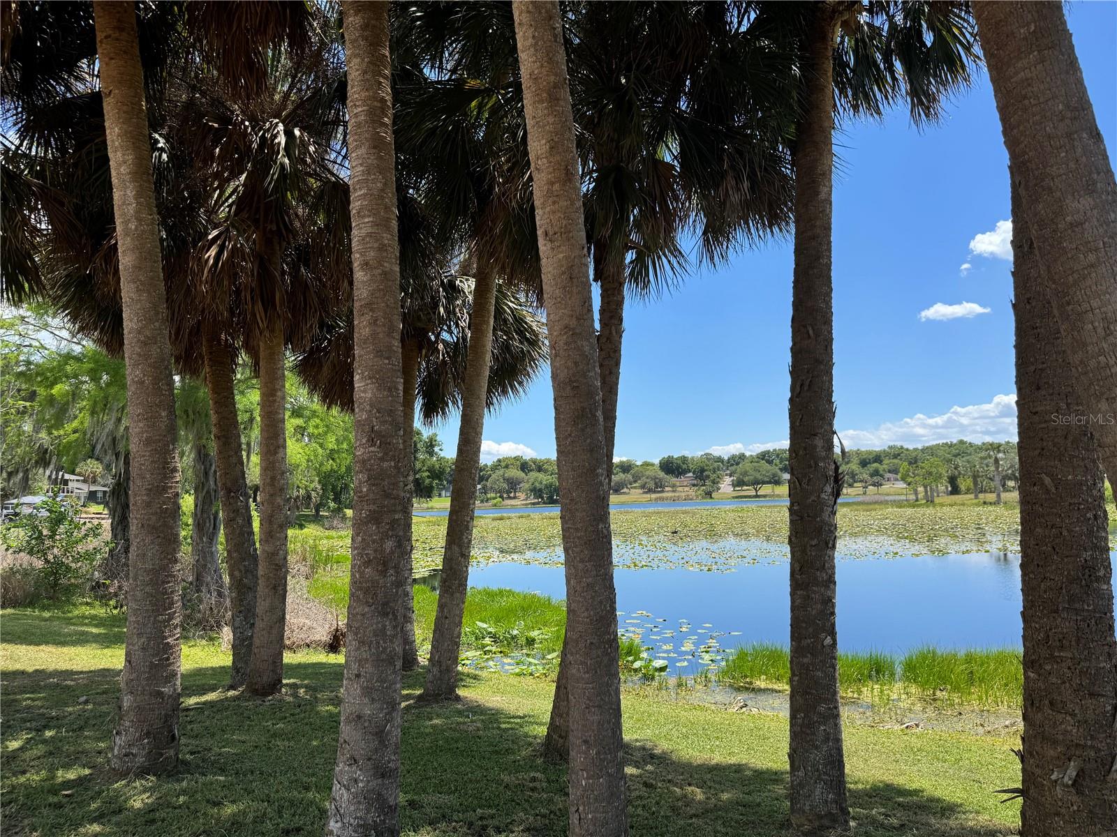 708 E LEMON AVE, EUSTIS, FL, 32726