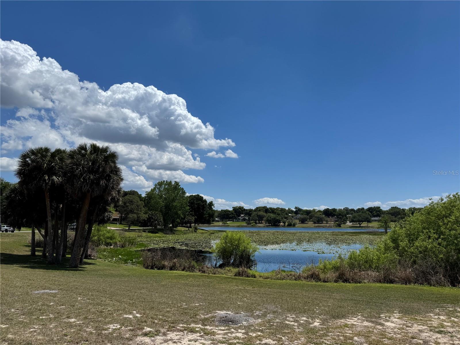 708 E LEMON AVE, EUSTIS, FL, 32726
