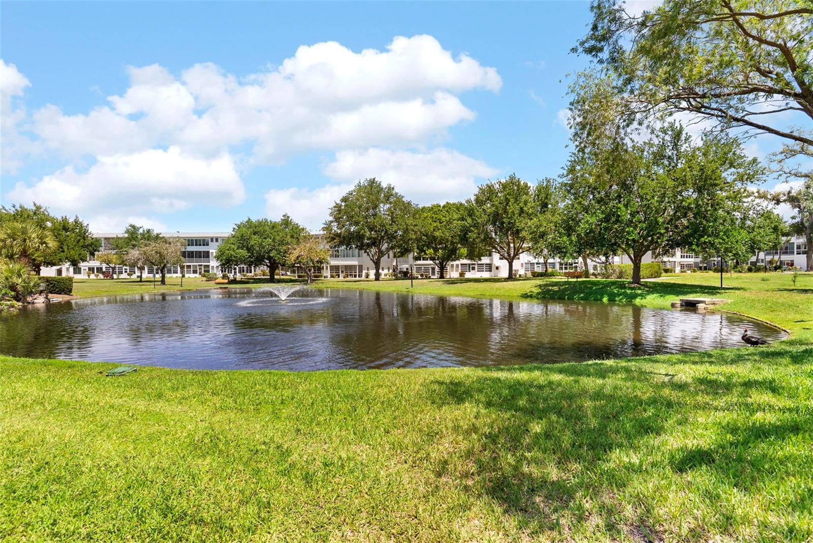 11201 80TH AVE #305, SEMINOLE, FL, 33772