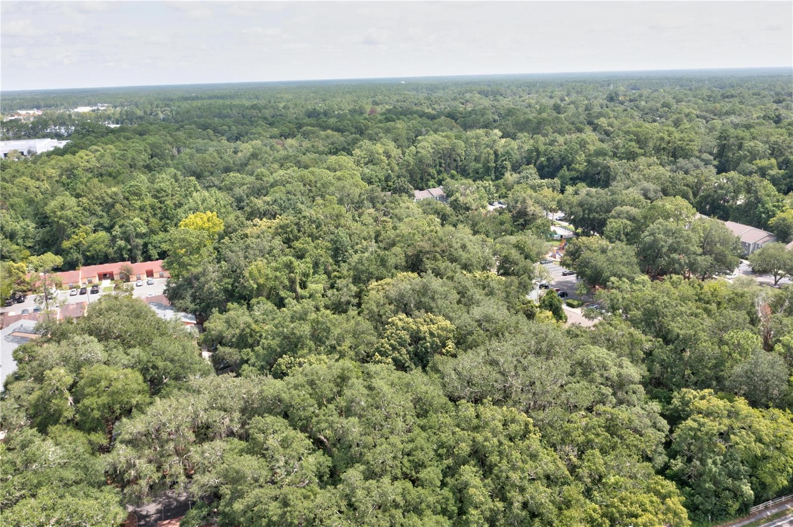 780 NE 23RD AVE, GAINESVILLE, FL, 32609