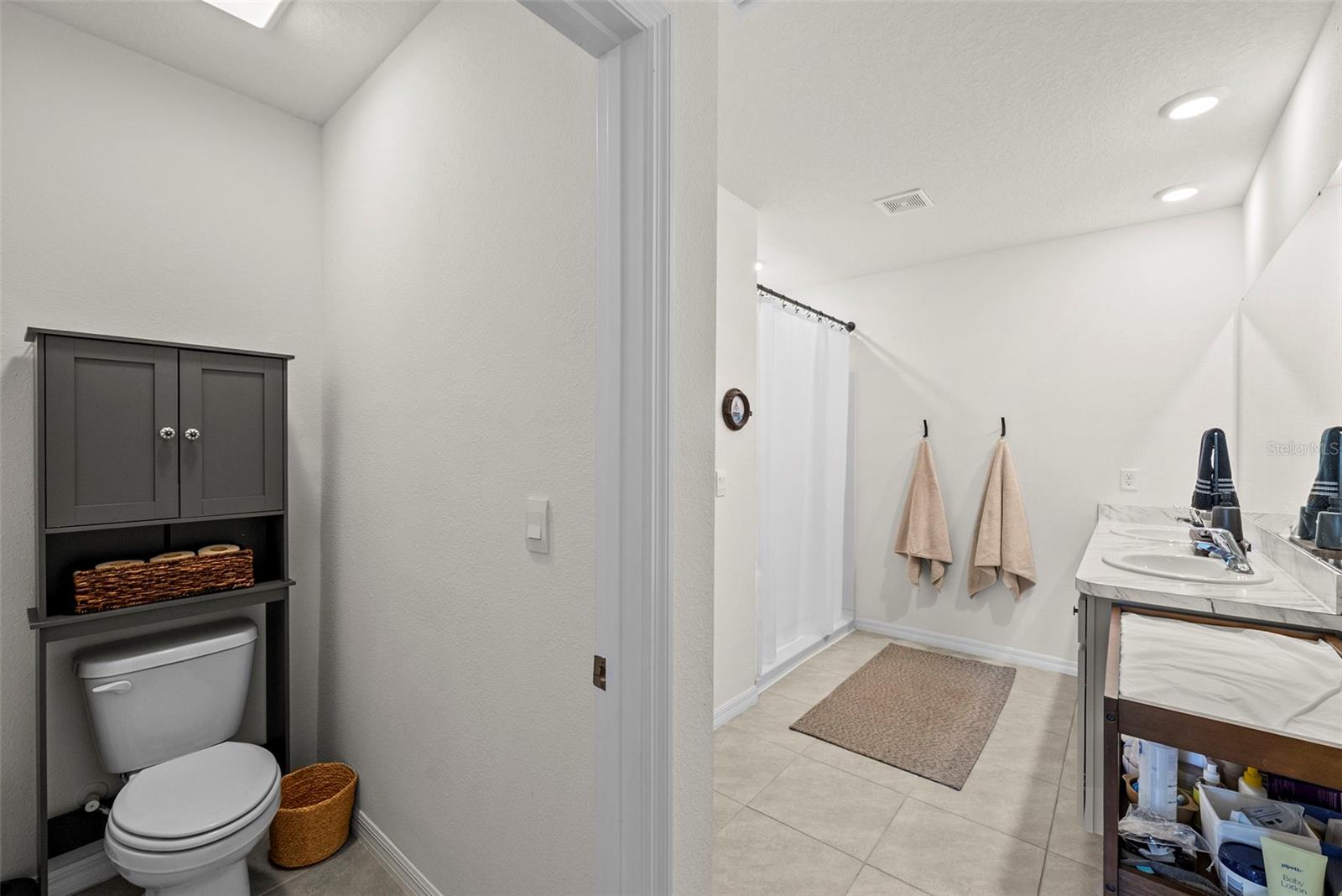 33607 HAMILTON HILL LN, WESLEY CHAPEL, FL, 33545