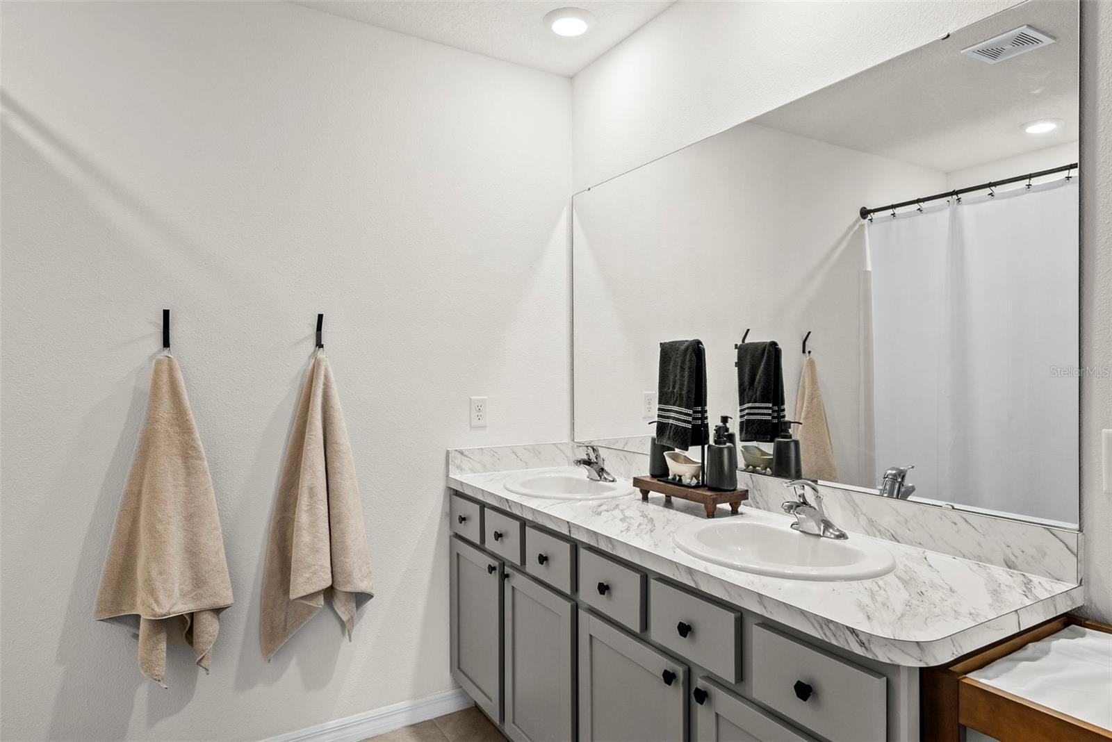 33607 HAMILTON HILL LN, WESLEY CHAPEL, FL, 33545
