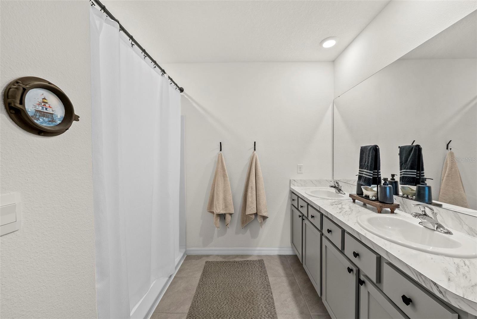 33607 HAMILTON HILL LN, WESLEY CHAPEL, FL, 33545