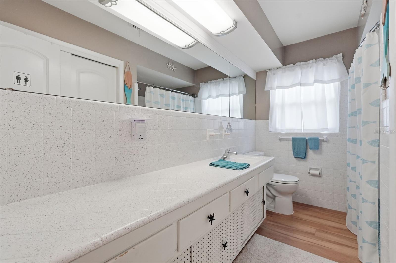 179 E CANAL DR, PALM HARBOR, FL, 34684