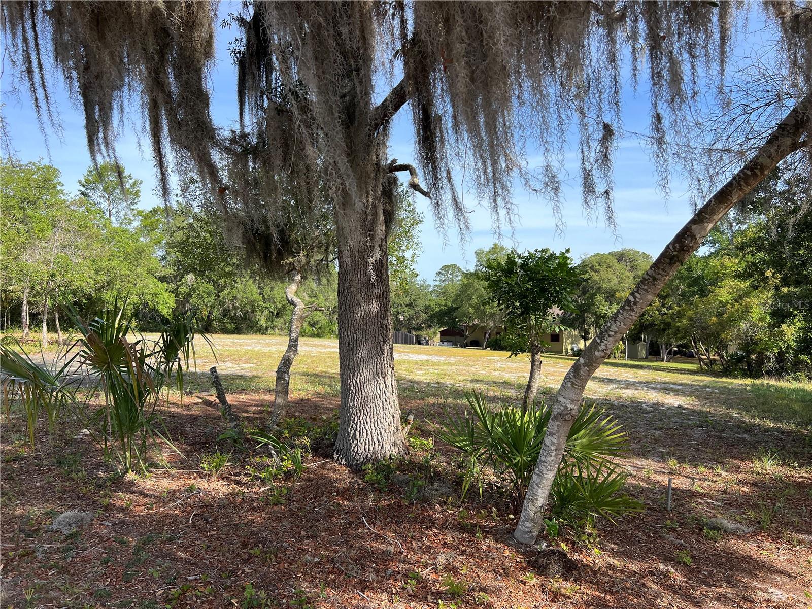 RANCHERO RD, DELAND, FL, 32720
