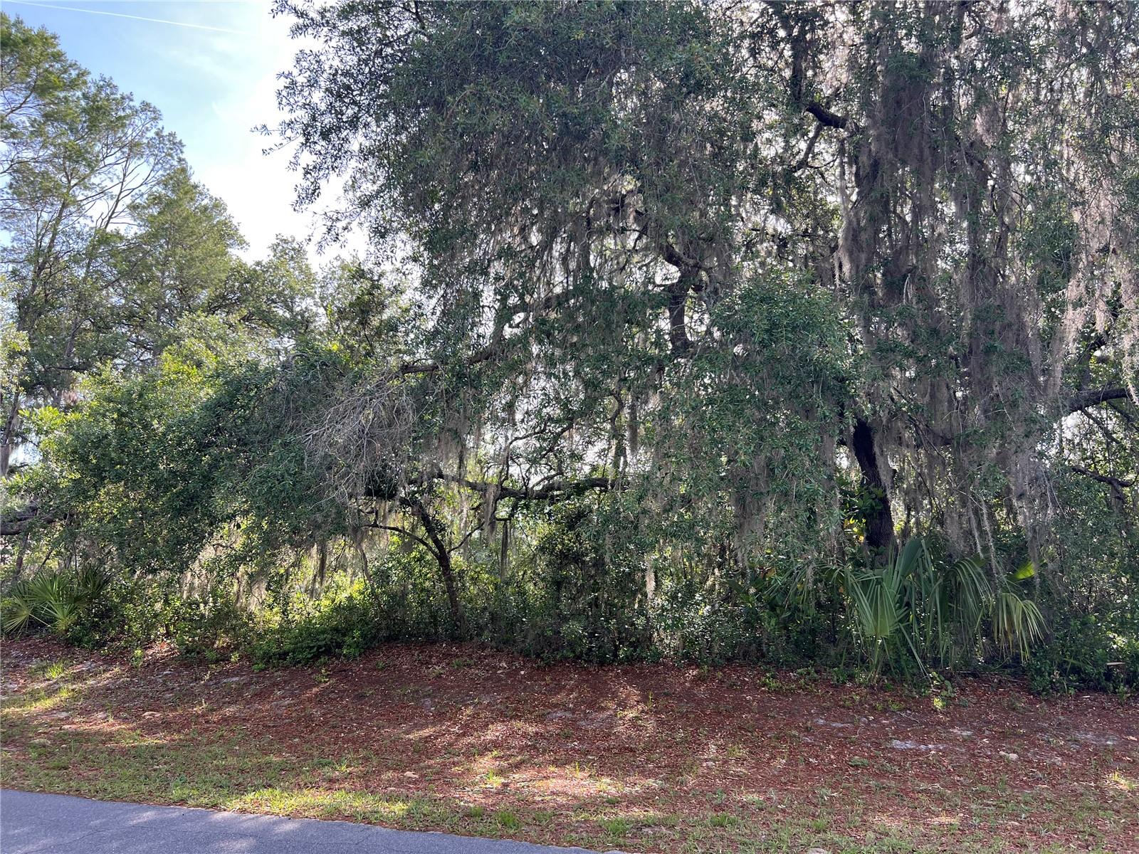 RANCHERO RD, DELAND, FL, 32720