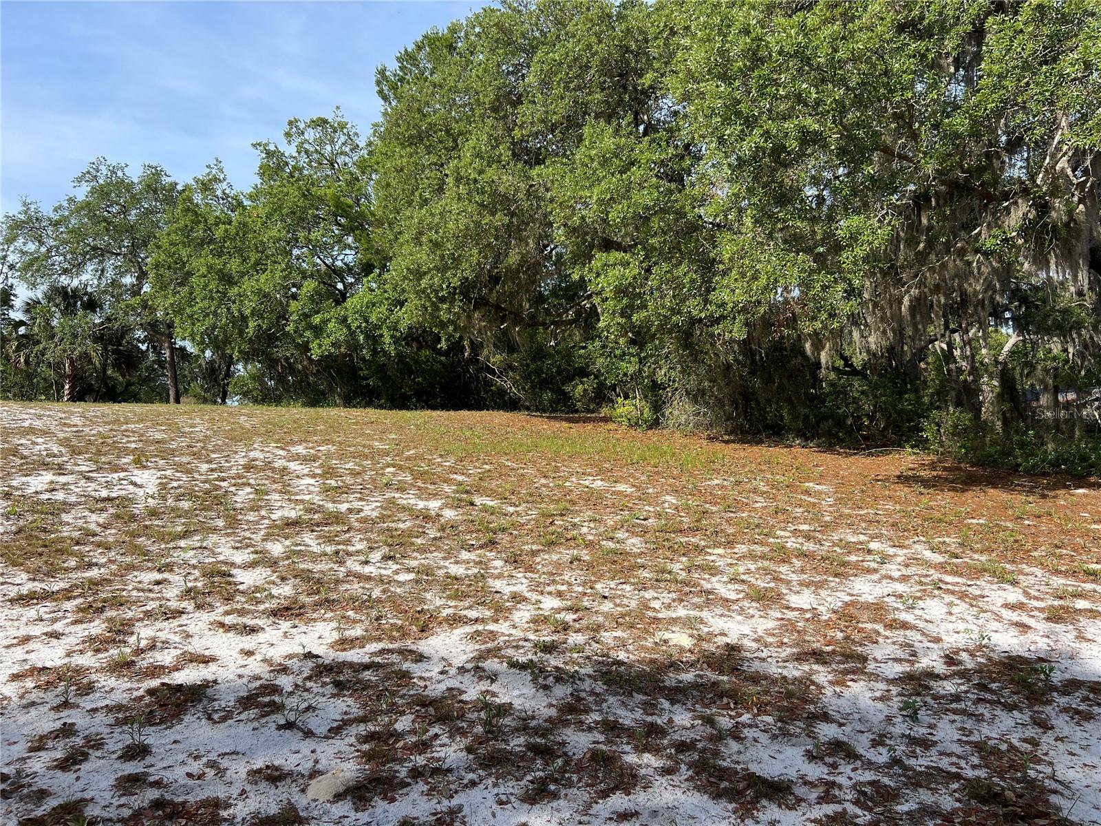 RANCHERO RD, DELAND, FL, 32720