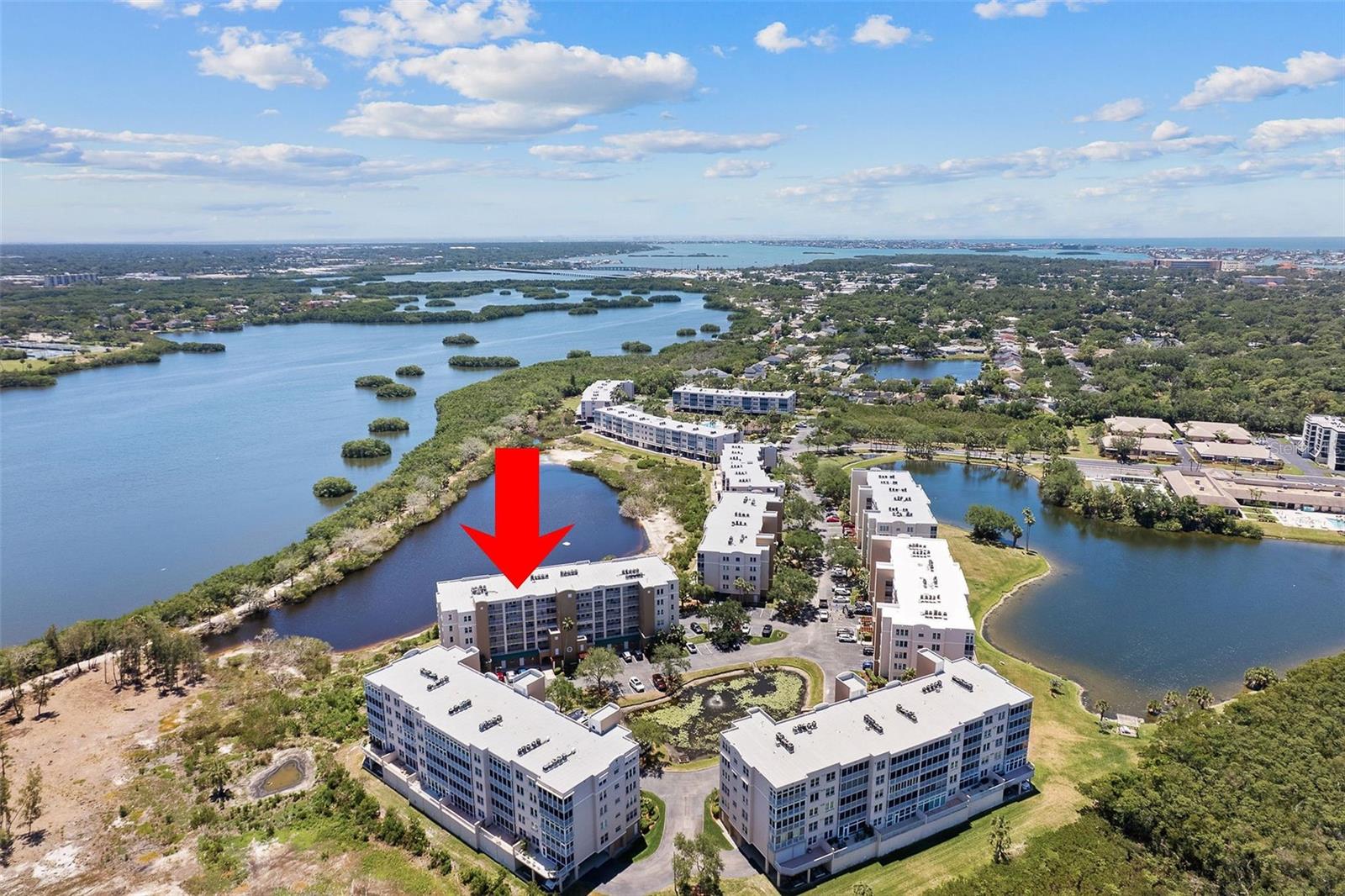 6551 SHORELINE DR #6402, ST PETERSBURG, FL, 33708