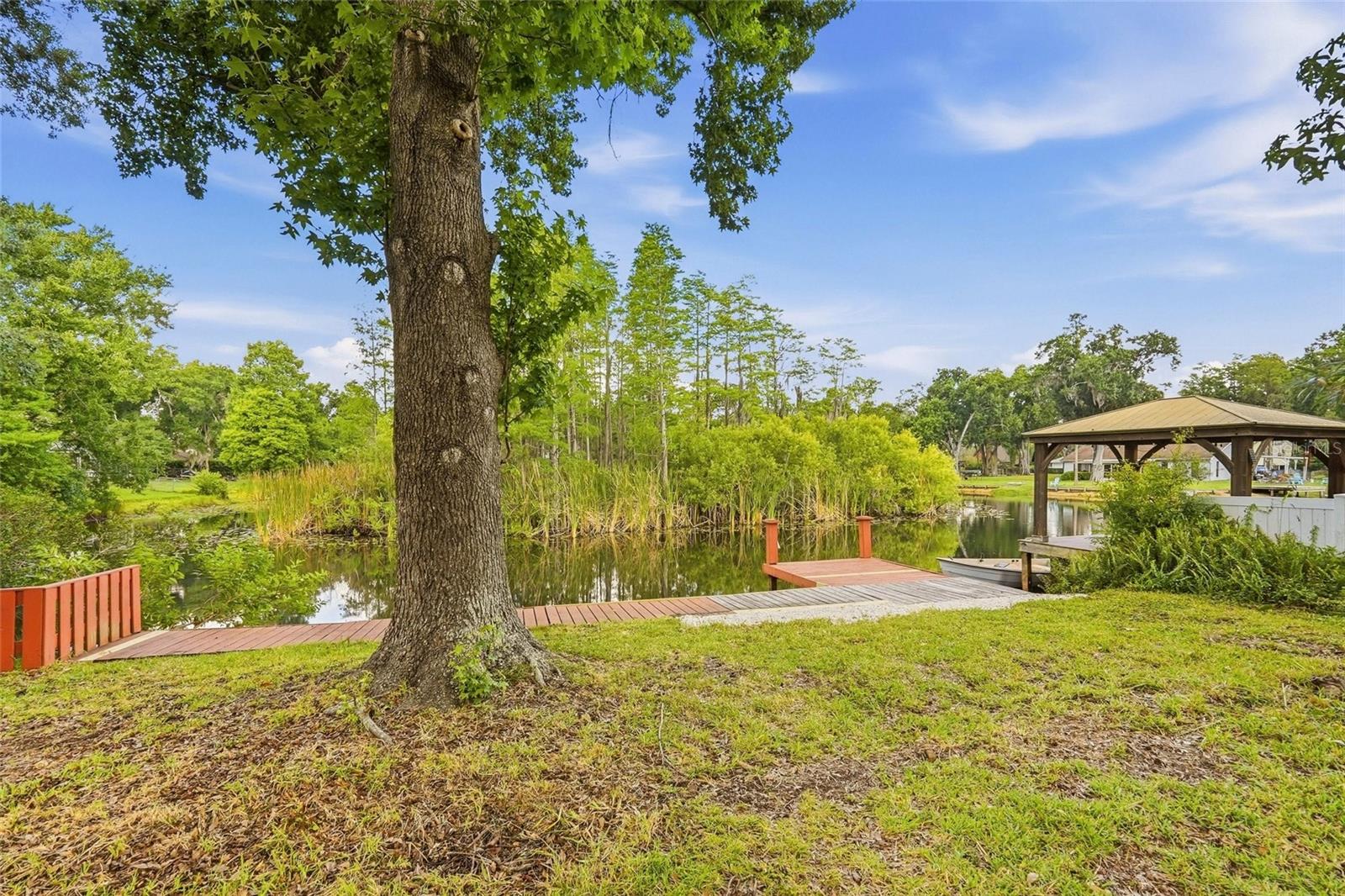 17002 PAULA LN, LUTZ, FL, 33558