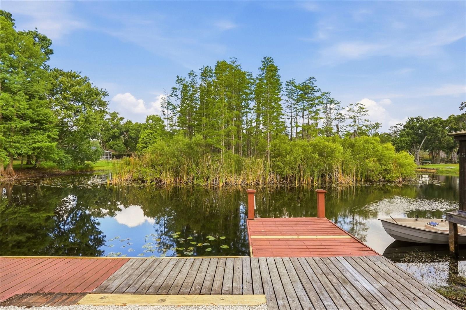 17002 PAULA LN, LUTZ, FL, 33558