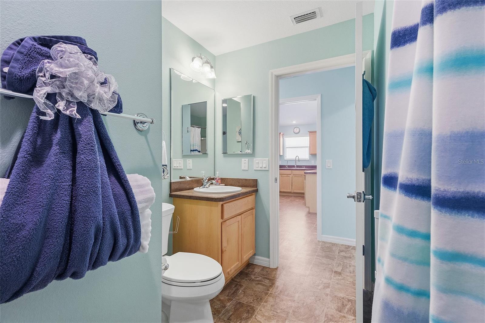 871 AMBER CT, THE VILLAGES, FL, 32163