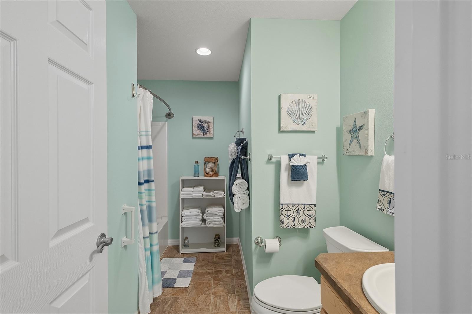 871 AMBER CT, THE VILLAGES, FL, 32163