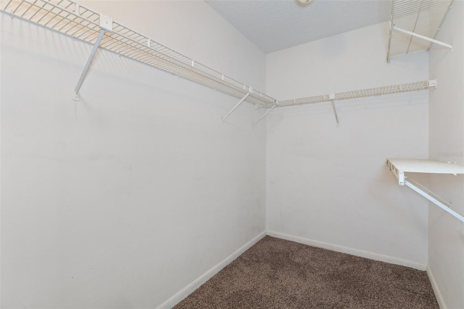 11315 N OLA AVE, TAMPA, FL, 33612